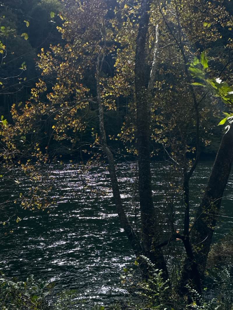 walking near me in Norris Municipal Park and Forest in autumn