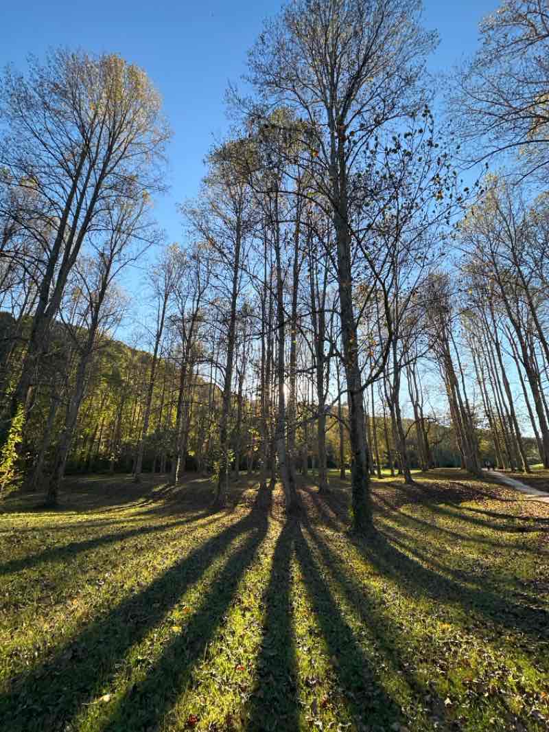 walking near me in Norris Municipal Park and Forest in autumn