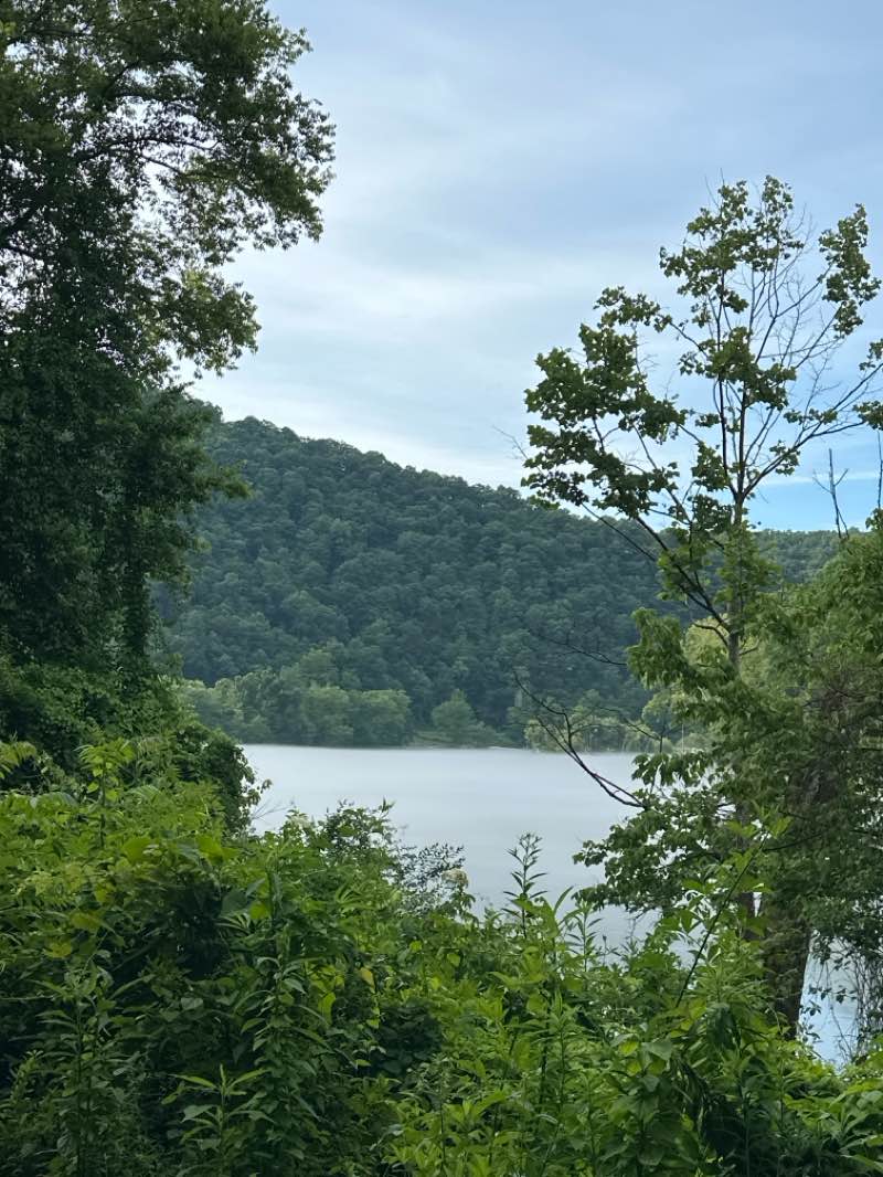 walking near me in Norris Municipal Park and Forest in summer