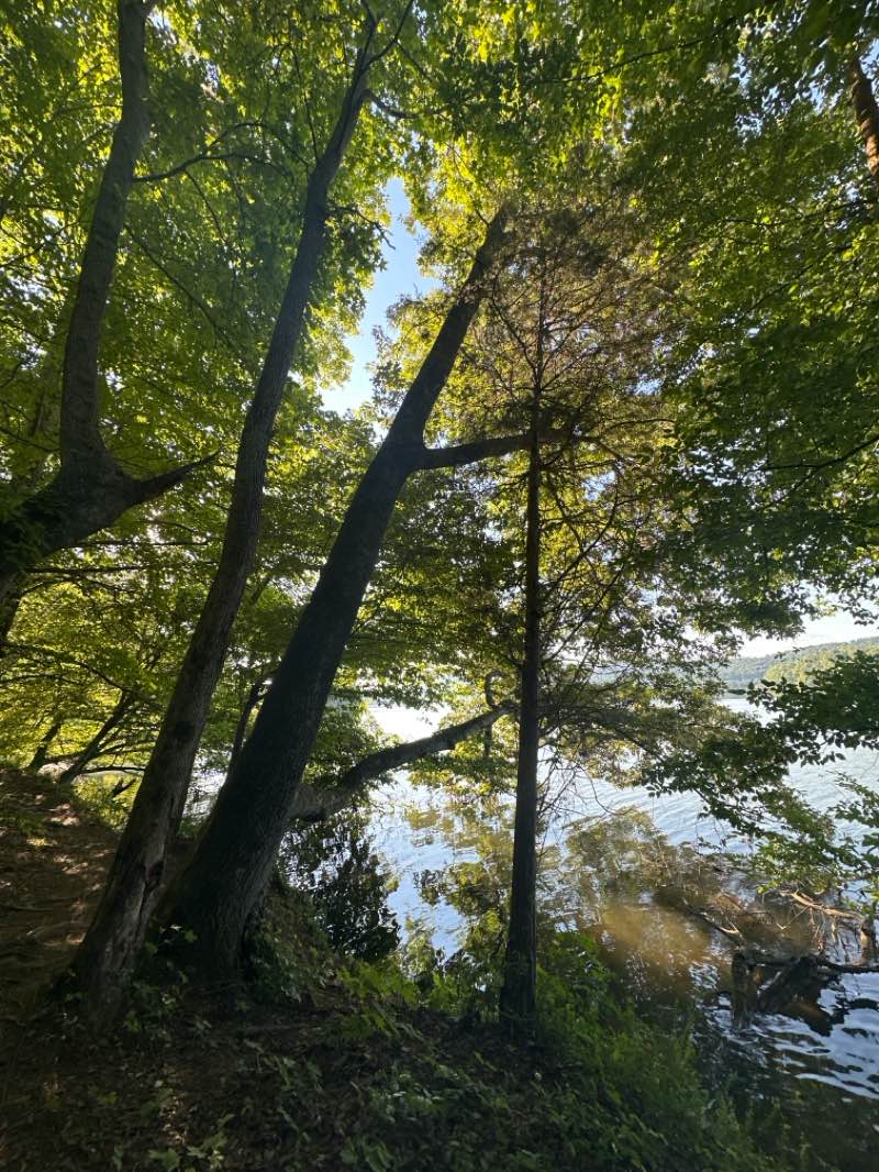 walking near me in Haw Ridge Park in summer