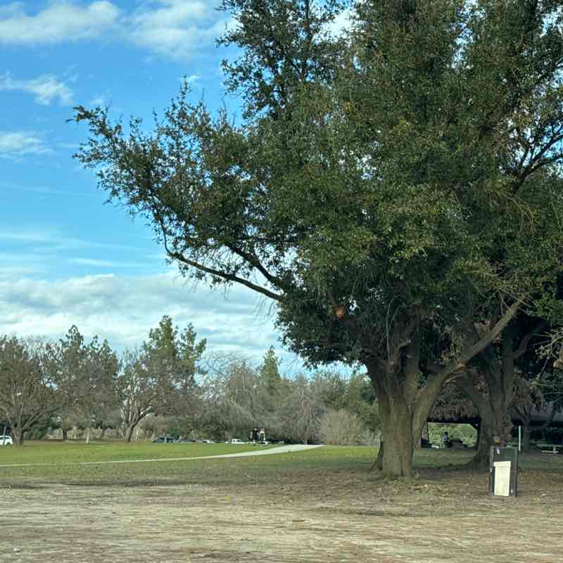 Creativ Jewels  post 1