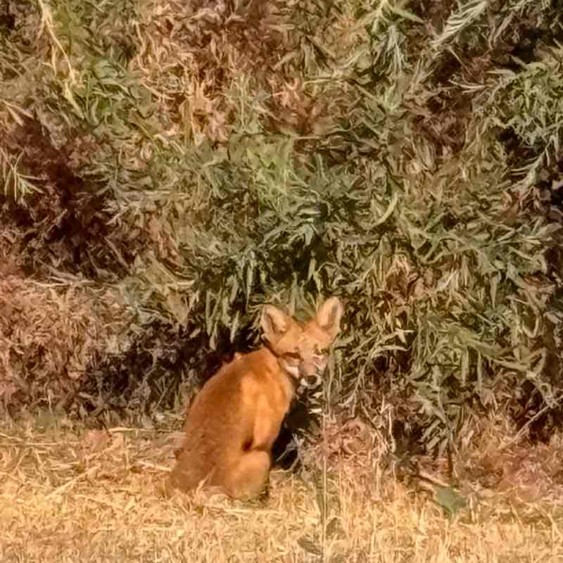 Creativ Jewels  post 1