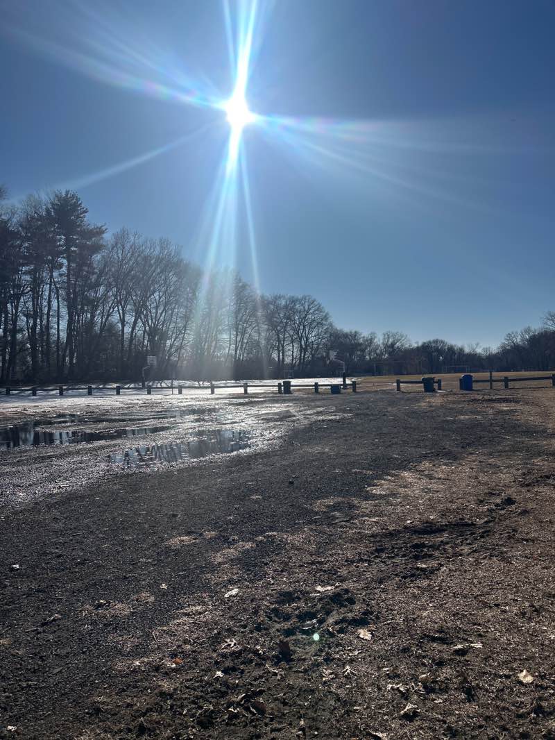 walking near me in Dwyer Park in spring