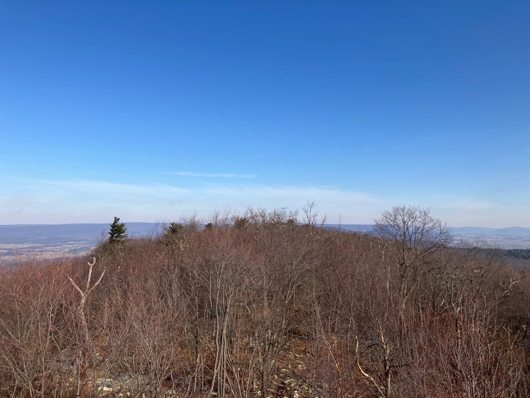 walking near me in Rothrock State Forest in winter