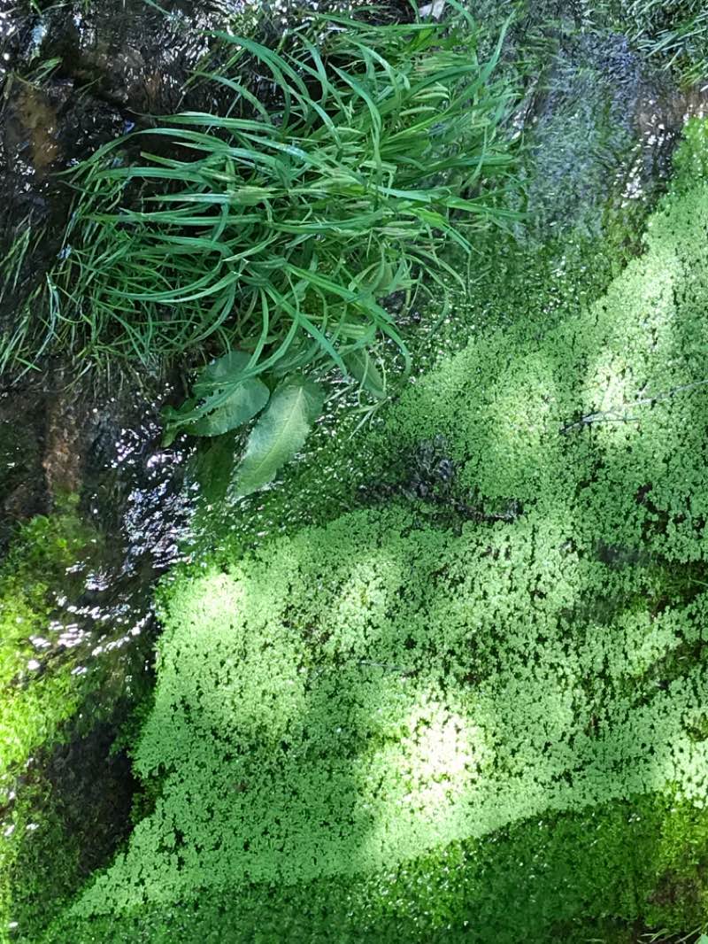 walking near me in Penn-Roosevelt State Park in winter