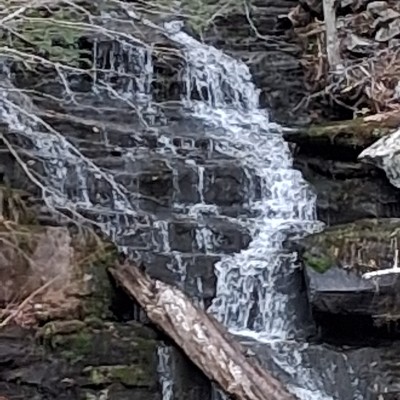 schappelljohn post 2