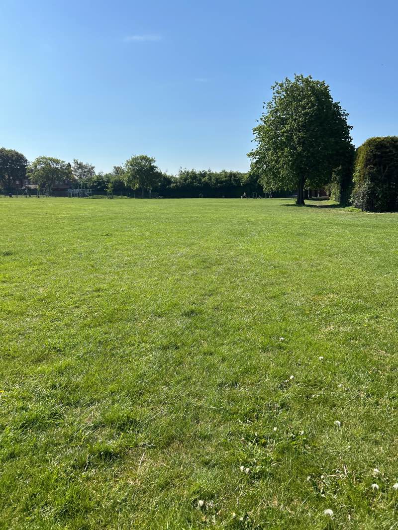 walking near me in Stevens Park in spring