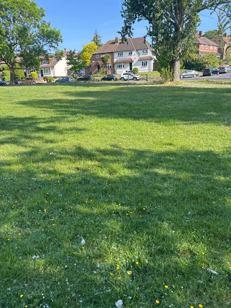 walking near me in The Warren in spring