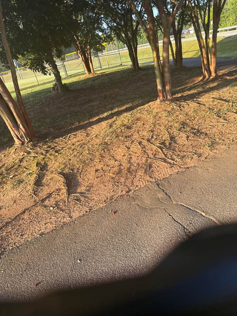 walking near me in Anderson Sports & Entertainment Complex in autumn