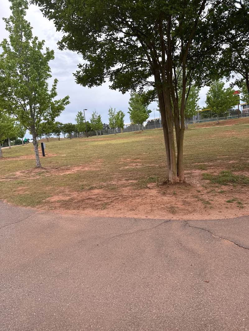 walking near me in Anderson Sports & Entertainment Complex in spring