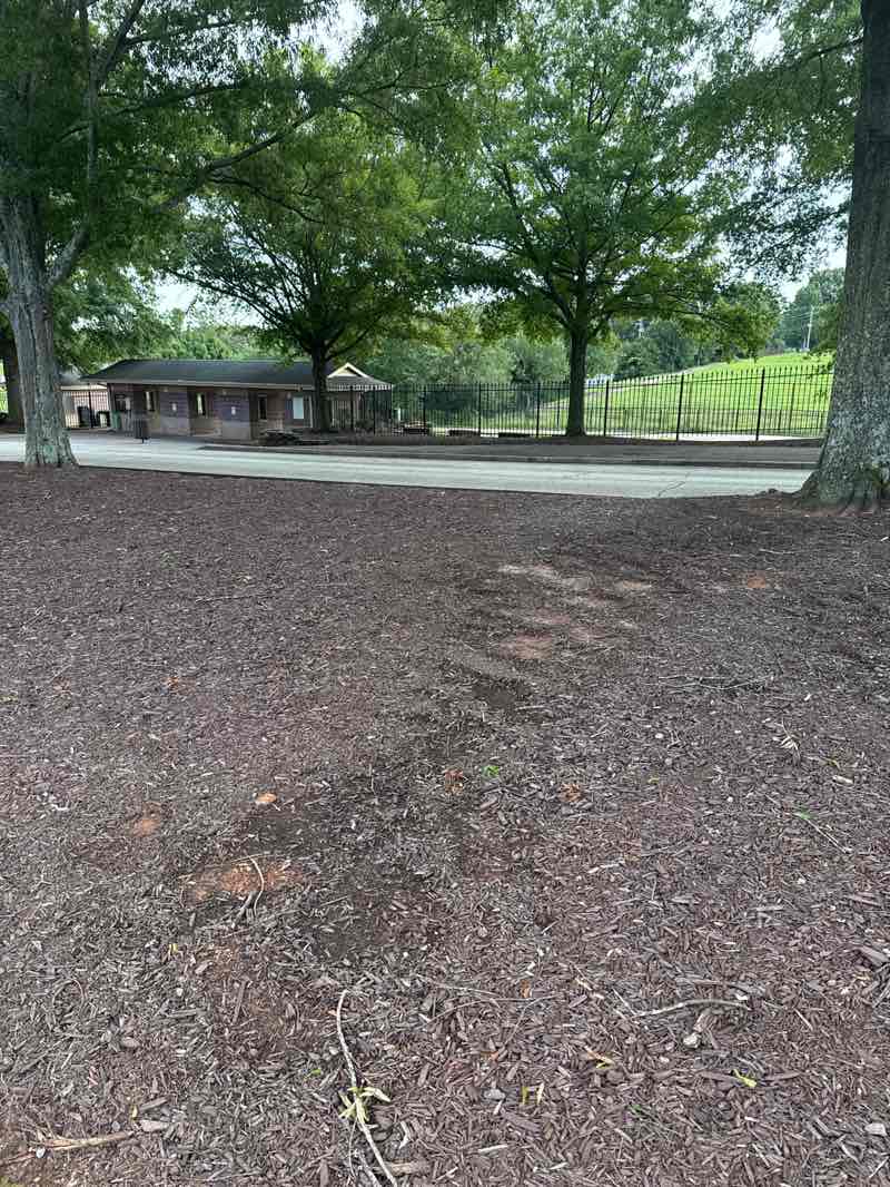 walking near me in Anderson Sports & Entertainment Complex in summer