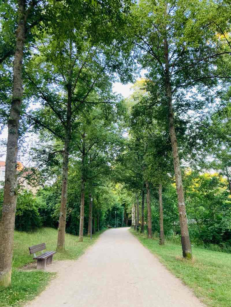 walking near me in Luitpoldpark in summer