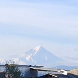 Motherland
