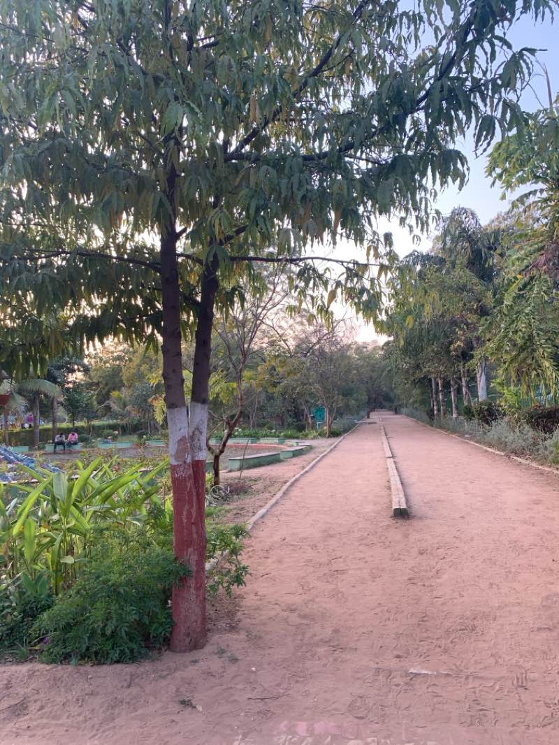 walking near me in Punit Van in winter