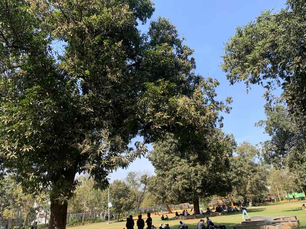 walking near me in Sec-7, Garden in winter