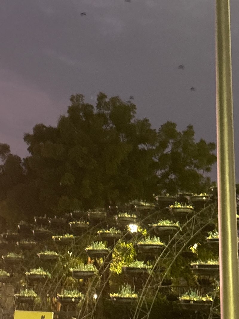 walking near me in River Front Park in summer