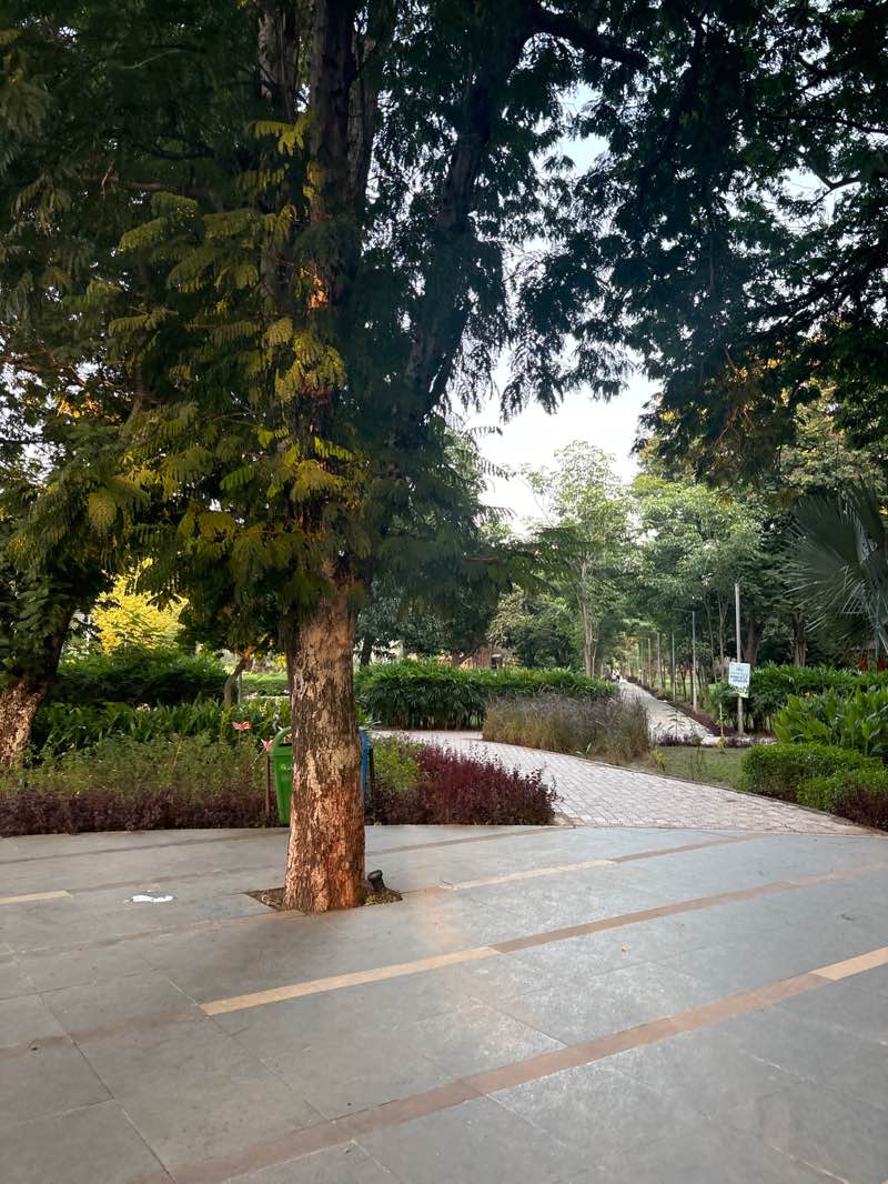walking near me in Sarita Udhyan in autumn