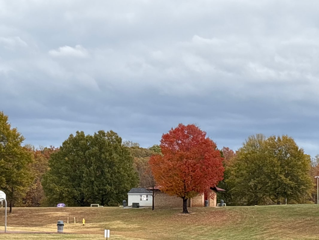 walking near me in James S. Long Park in autumn