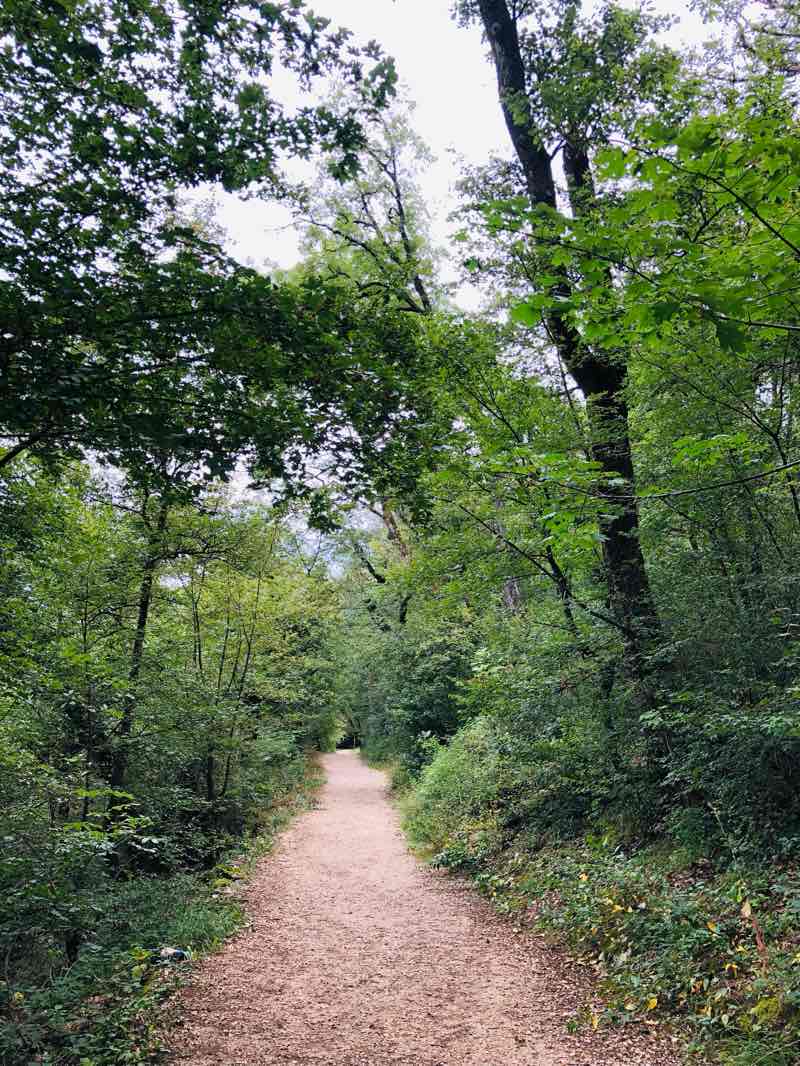 walking near me in Parc floral des Thermes in winter