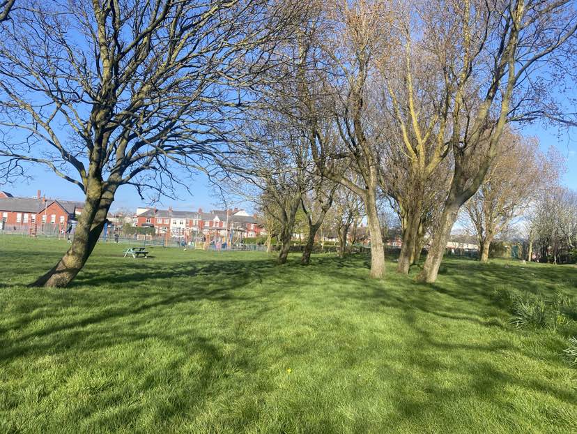 walking near me in Revoe Park in spring