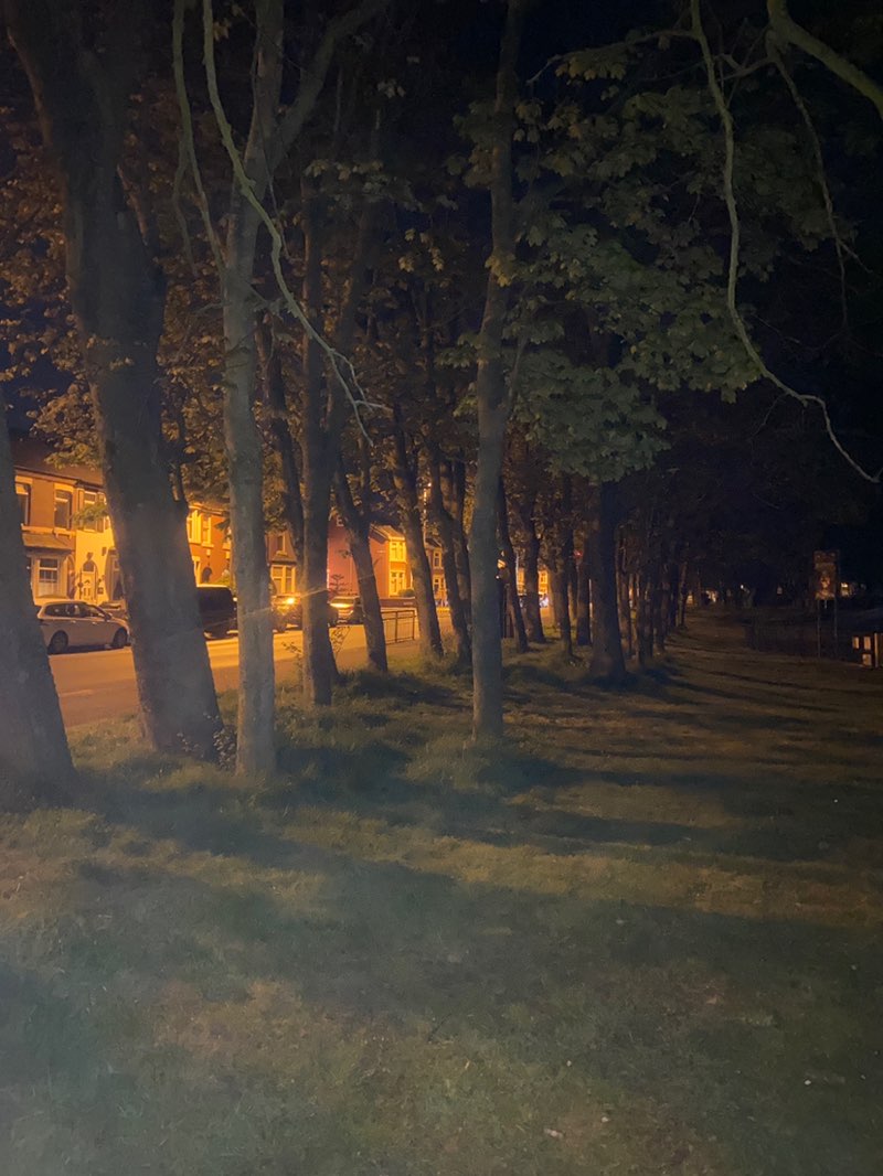 walking near me in Watson Road Park in spring