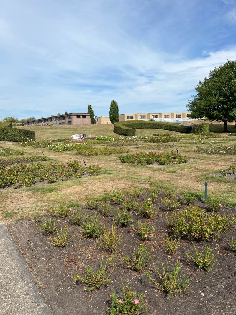 walking near me in Floriade Park in winter