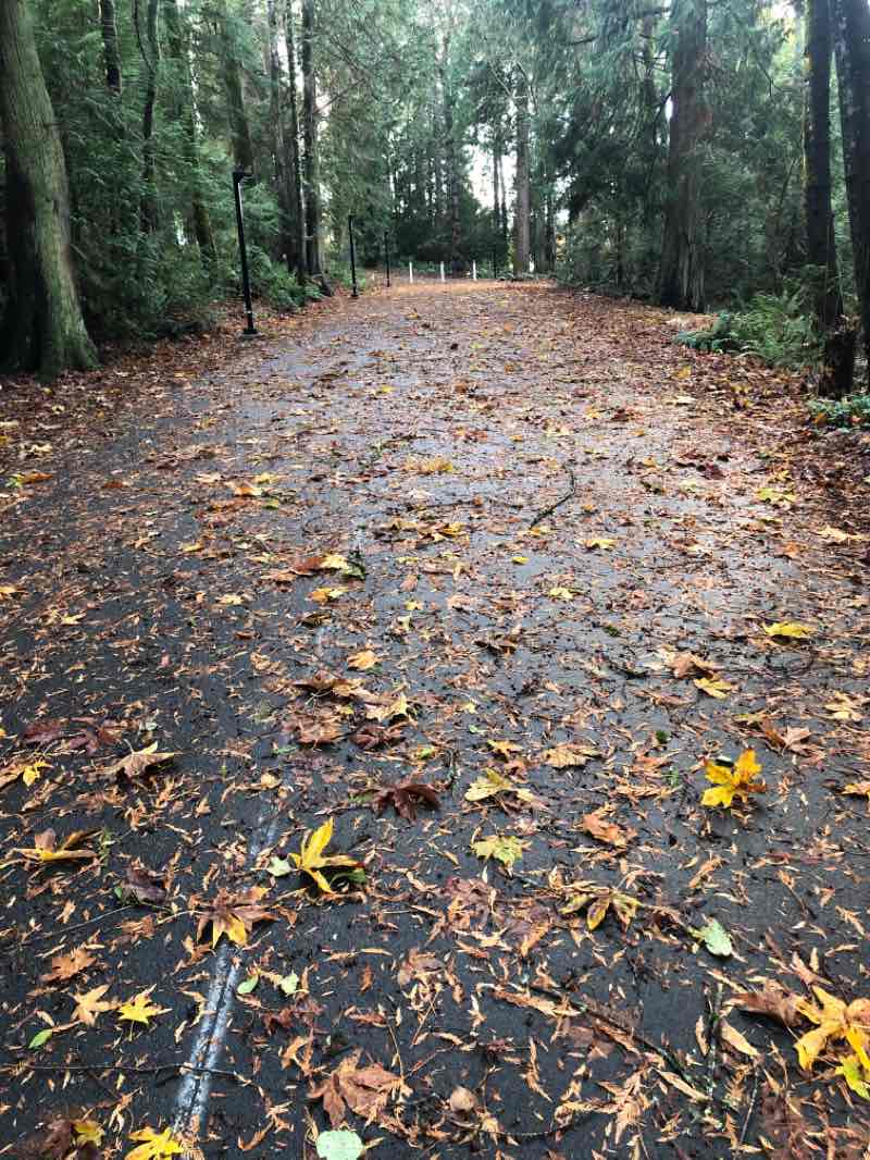 walking near me in Beban Park in winter