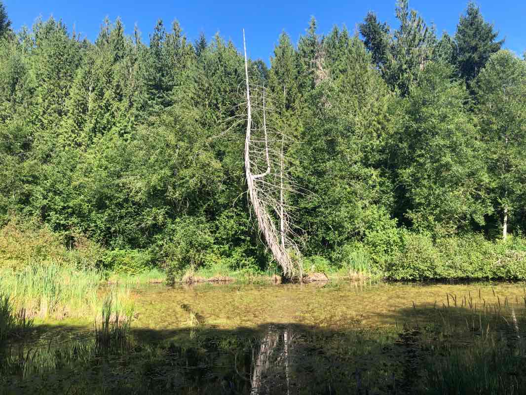 walking near me in Glenora Trails Head Park in winter