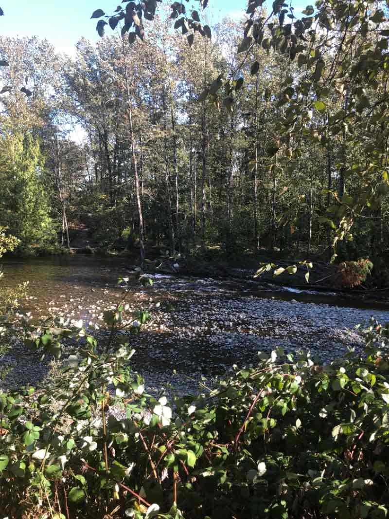 walking near me in Westwood Park in winter