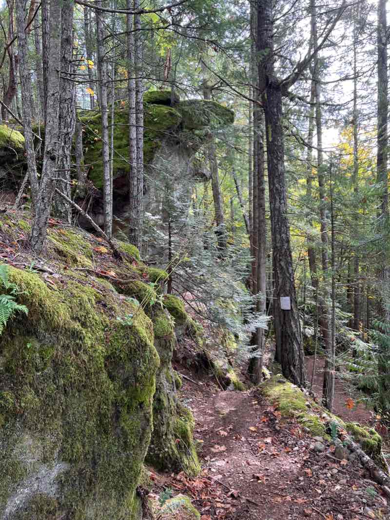 walking near me in Buttertubs Marsh Park in winter