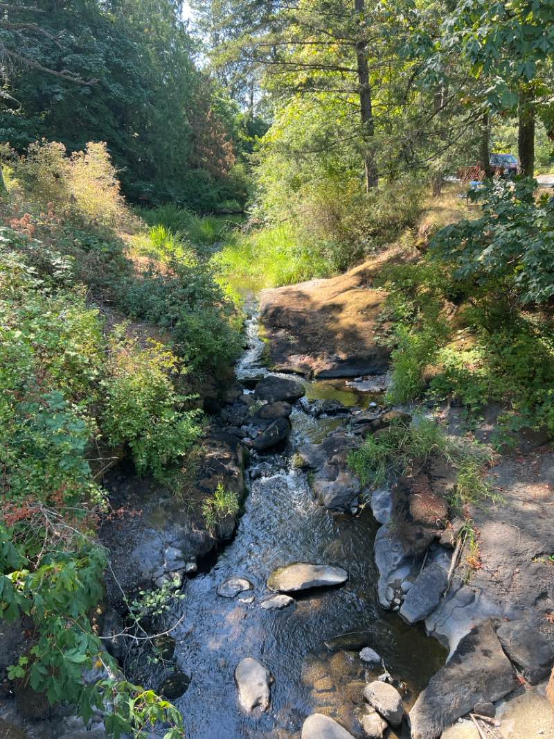 walking near me in Saysutshun (Newcastle Island Marine) Provincial Park in winter