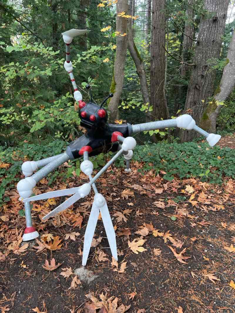 walking near me in Colliery Dam Park in autumn