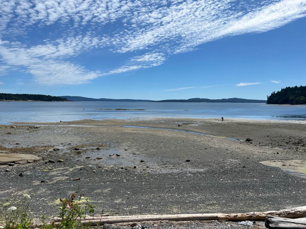 walking near me in West Marsh Park in summer