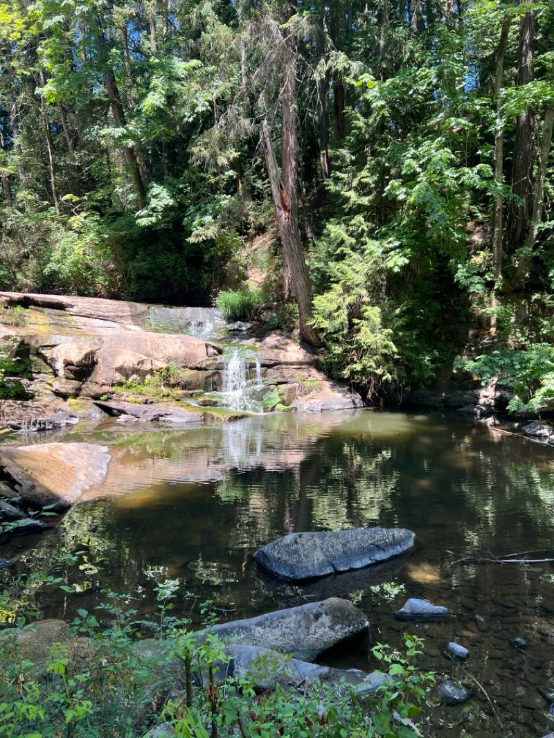 walking near me in Piper Park in summer