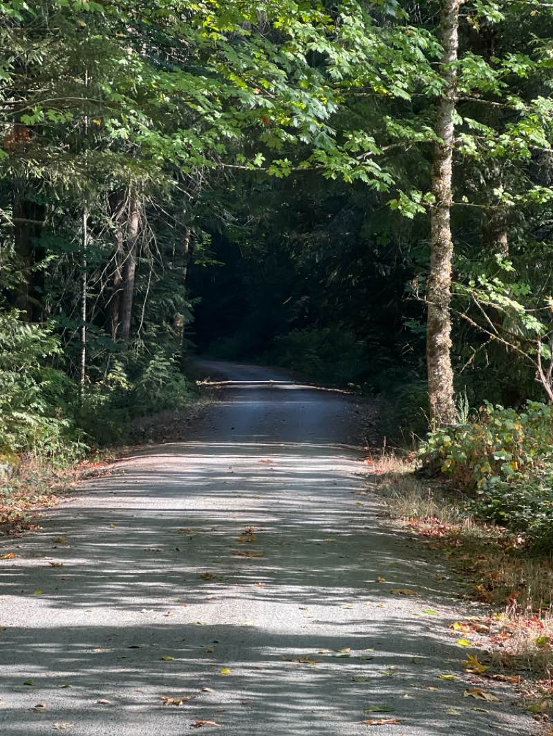walking near me in Cowichan River Provincial Park in autumn