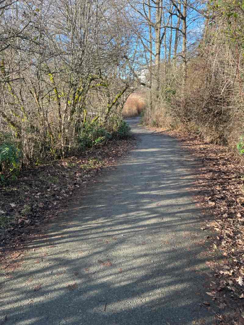 walking near me in Third Street Park in winter