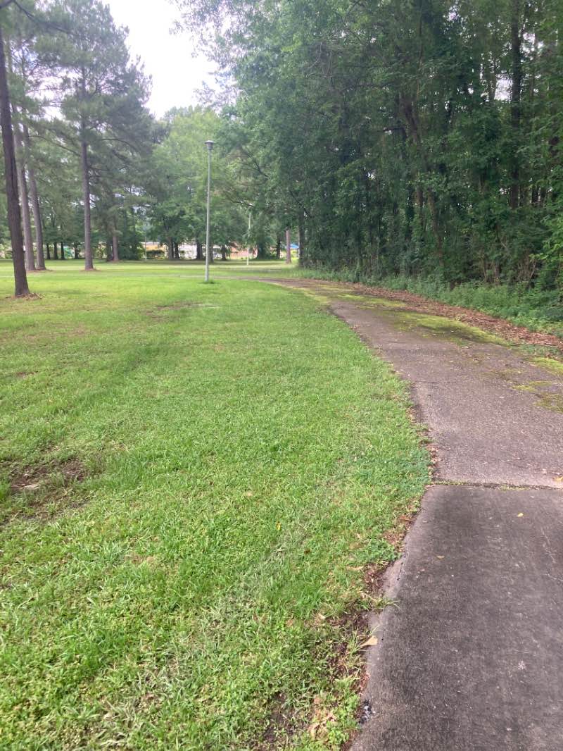 walking near me in Dewitt Sullivan Park in winter