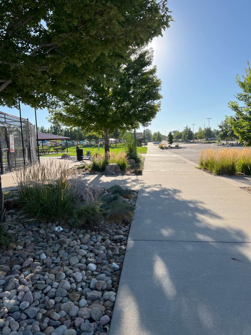 walking near me in Pioneer Park in winter