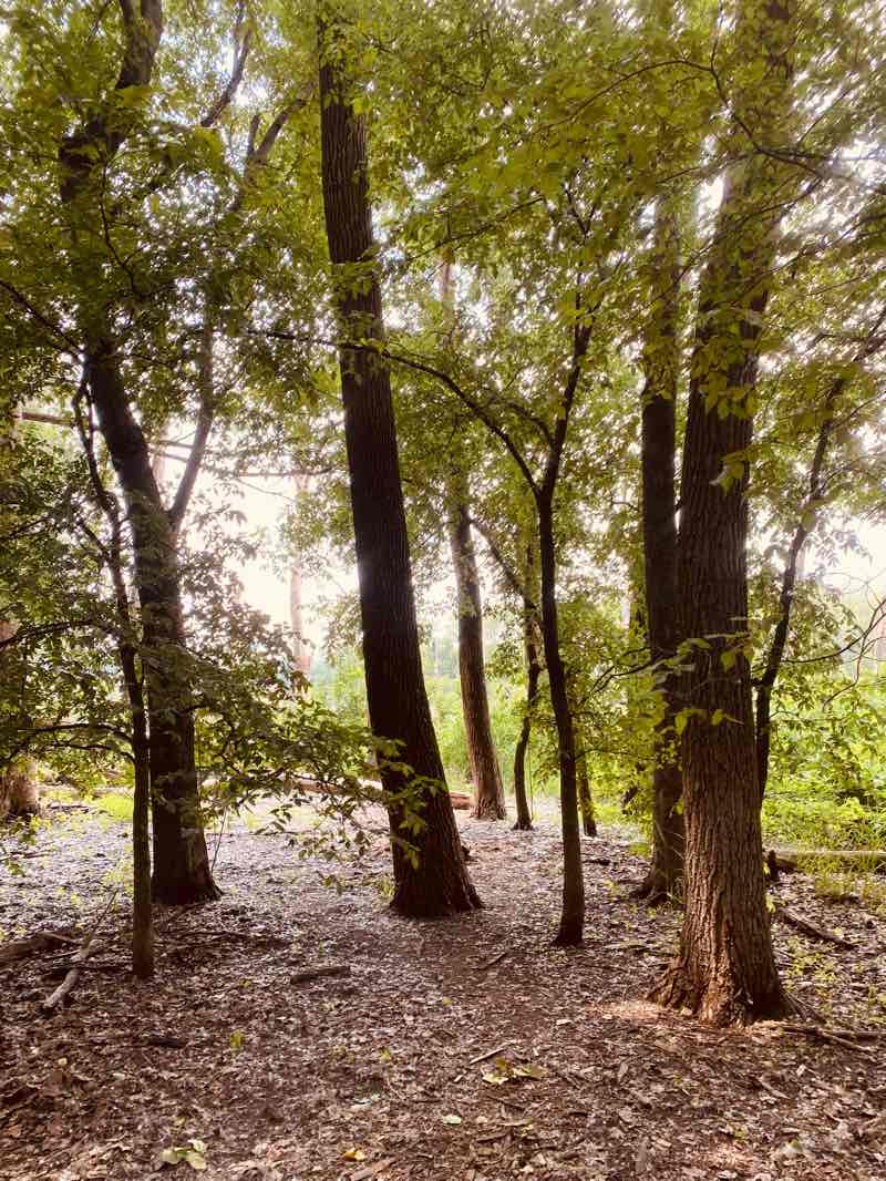 walking near me in Trailhead Park in winter