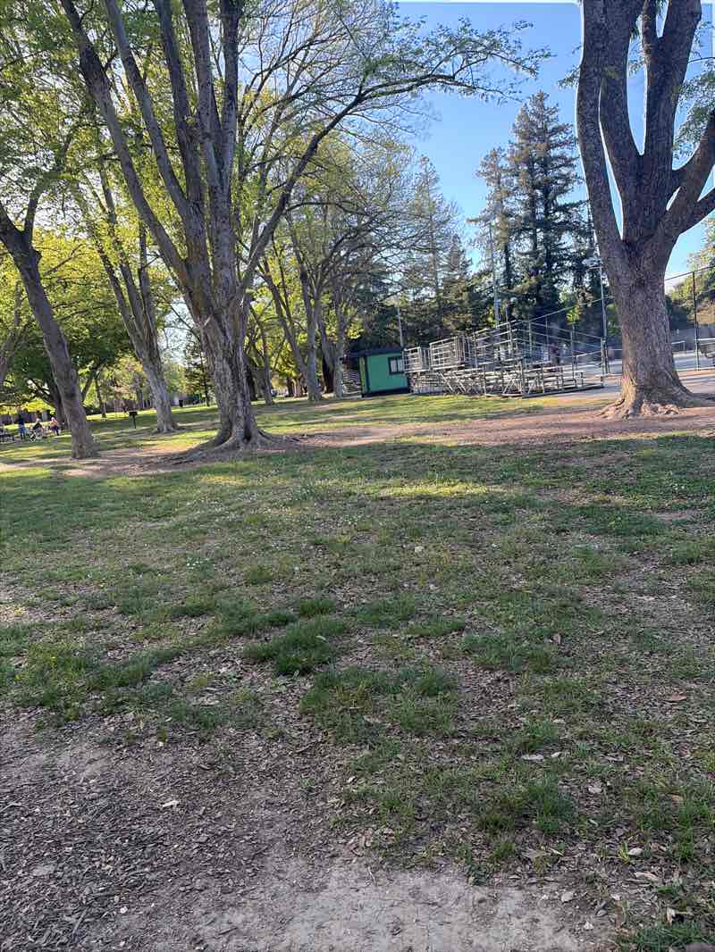 walking near me in McKinley Park in spring