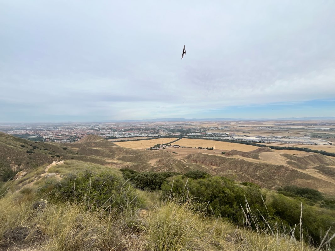 walking near me in Recinto Ferial in autumn