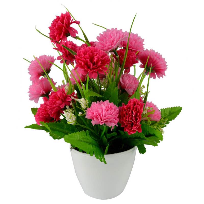 East Coast Beach Walkers ACCET Manoj post image