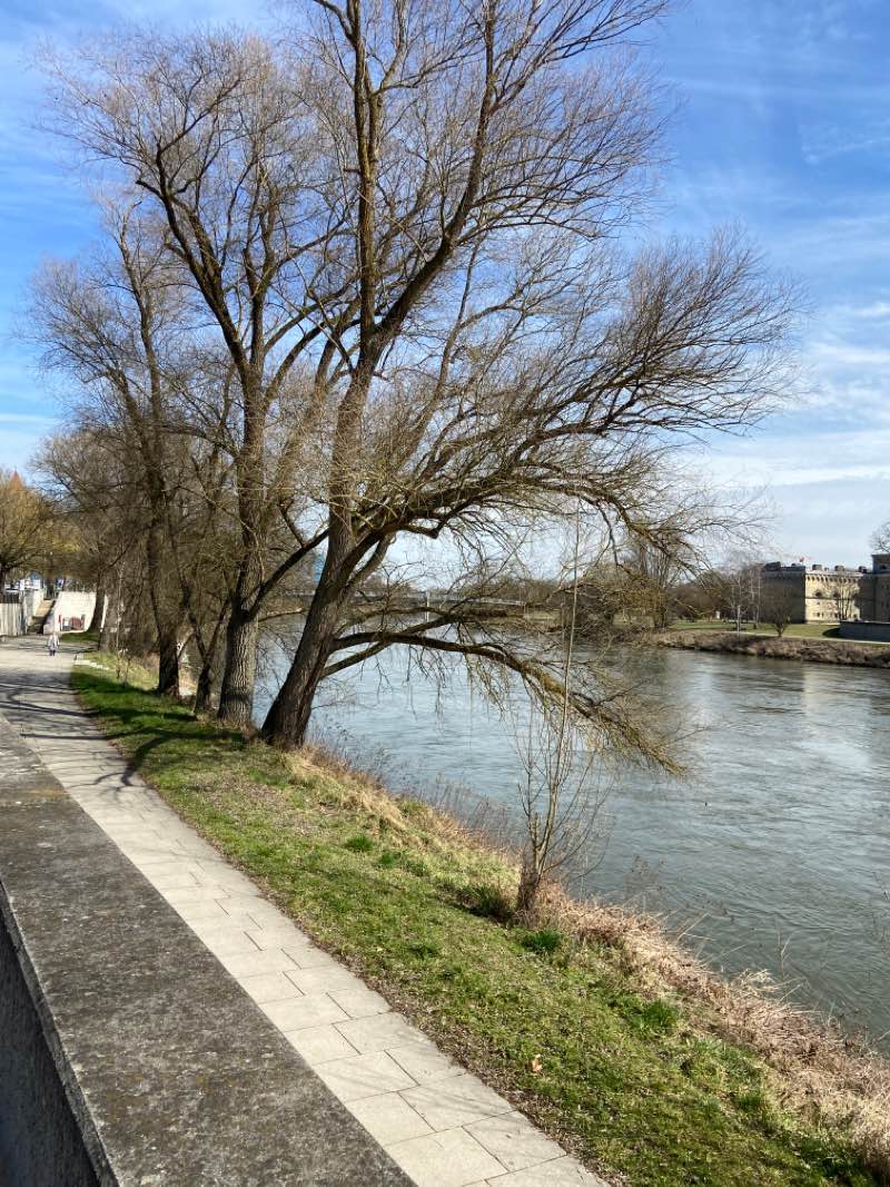 walking near me in Luitpoldpark in winter