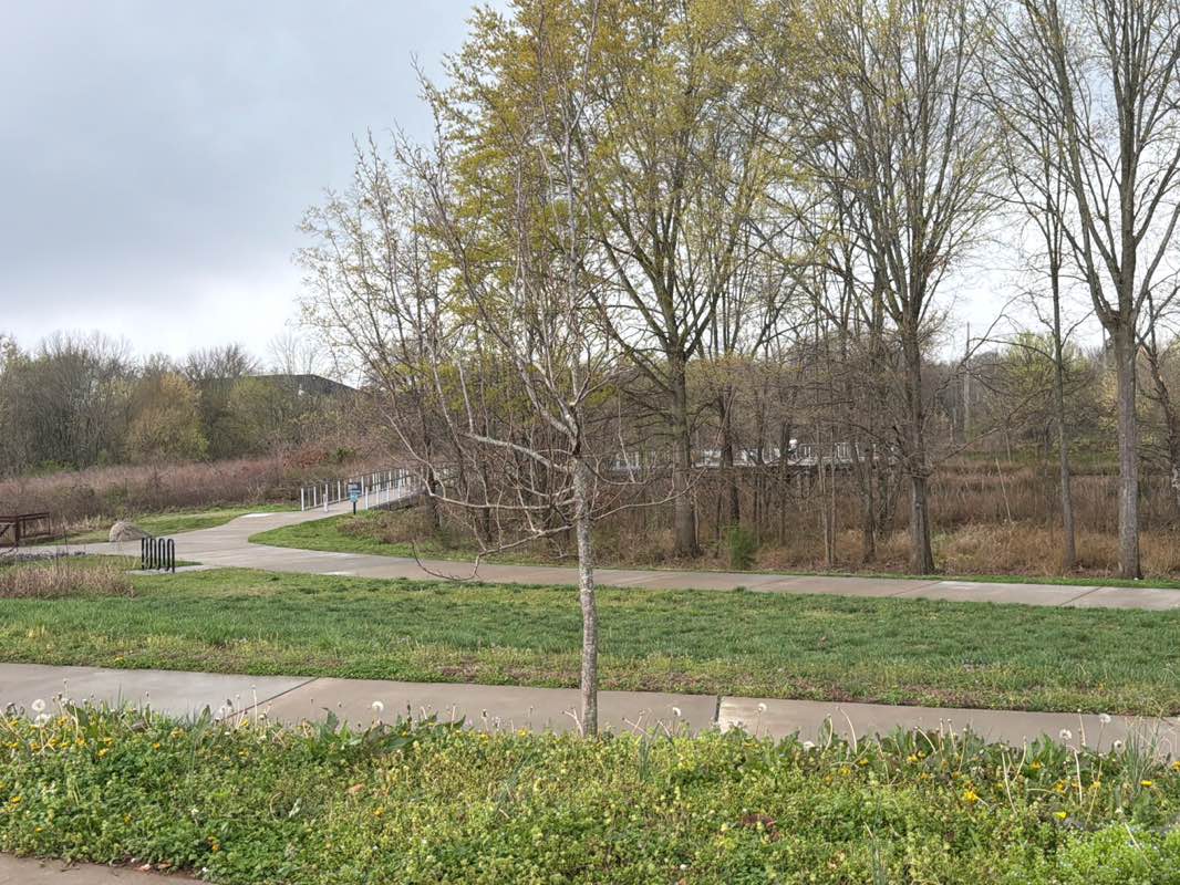 walking near me in Marsh Park in spring