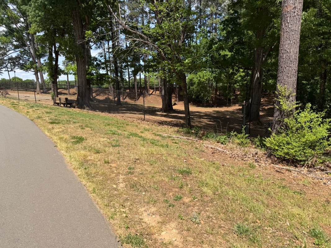 walking near me in Pineville Lake Park in spring