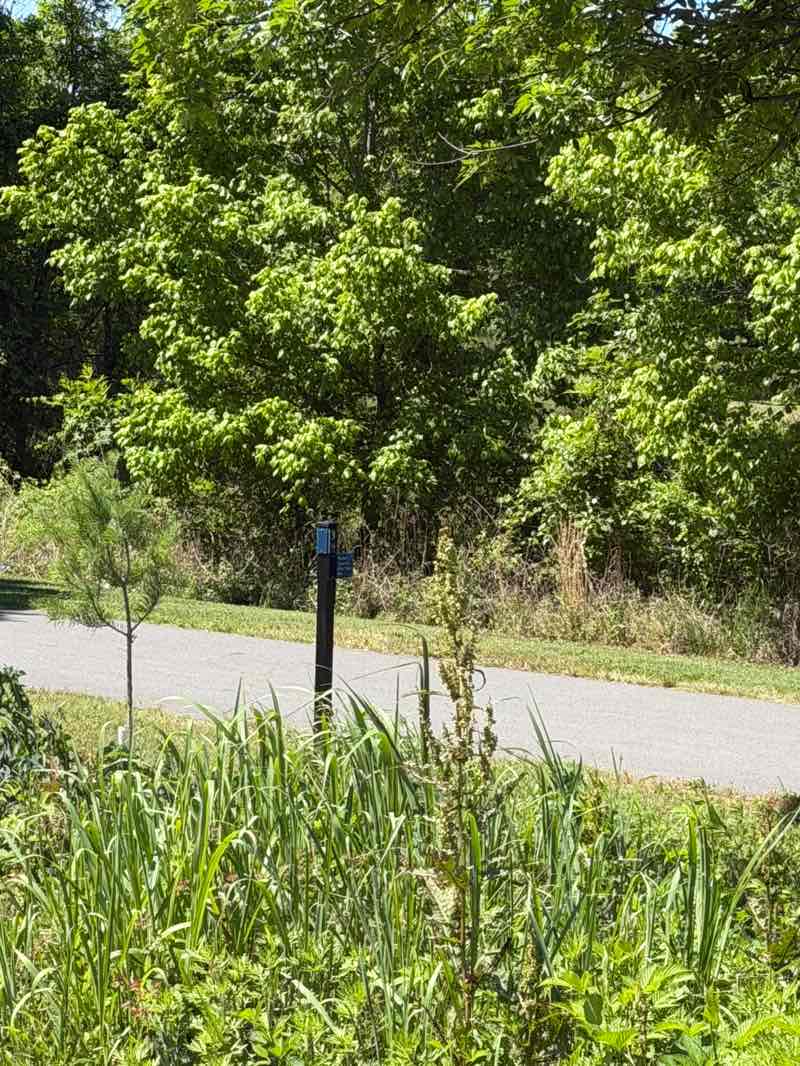 walking near me in Marsh Park in spring