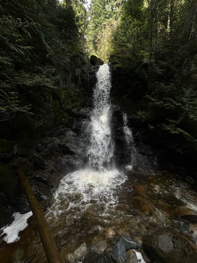 walking near me in Sprockids Trail Recreation Site in winter