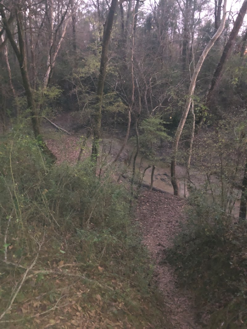 walking near me in Gold Star Park in winter