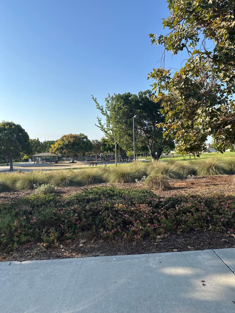 walking near me in Lokker Park in autumn