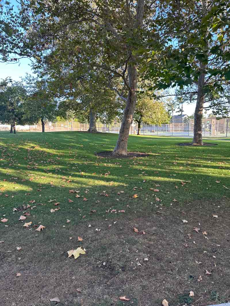 walking near me in Valle Lindo Park in autumn